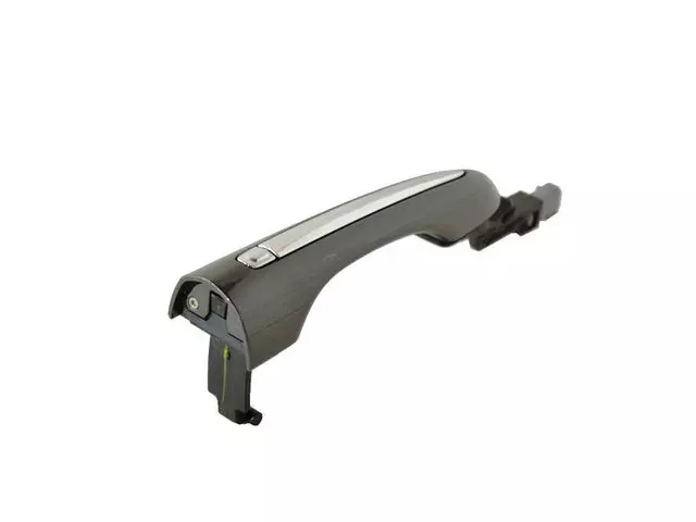 5RR21LAUAC - Body: Handle, Outside for Chrysler: Pacifica Image