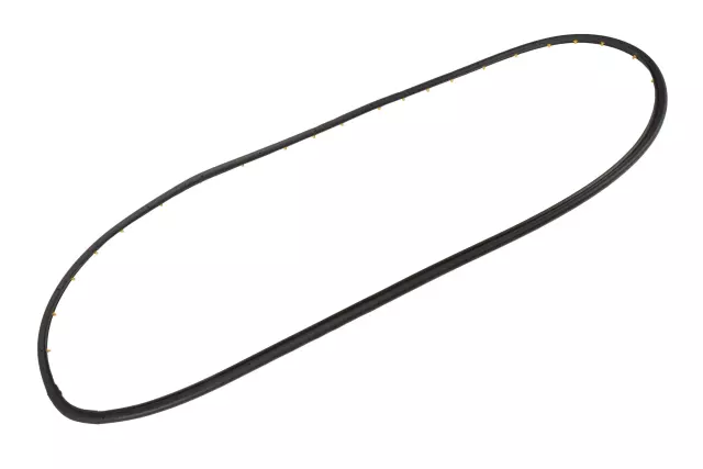 Passenger Side Door Weatherstrip - GM (20981181)