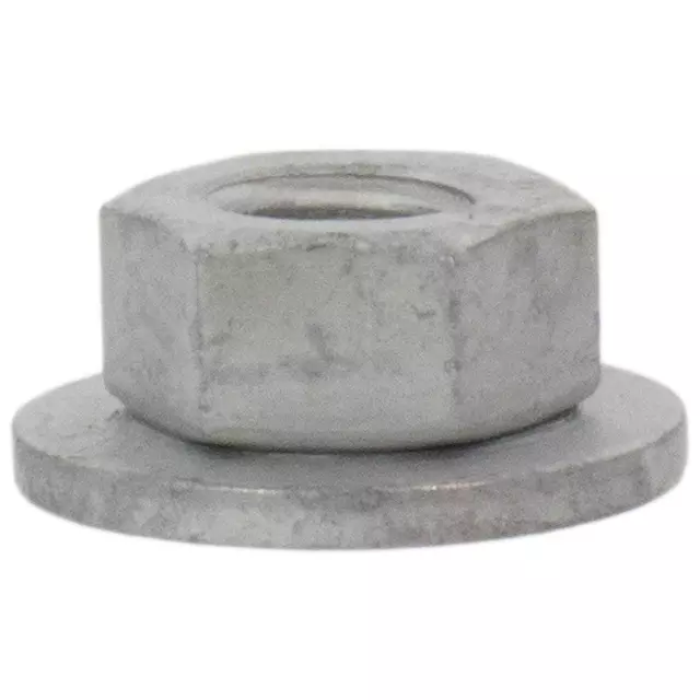 W702524S442 - Body: Lower Hinge Nut for Ford: E-Transit, GT, Maverick, Mustang, Transit-150, Transit-250, Transit-350, Transit-350 HD Image