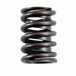 ERV887X - : Engine Valve Spring for Enginetech Image