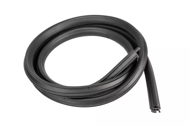 Rear Side Door Weatherstrip - GM (22766416)