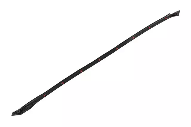 20991609 - : Driver Side Front Door Lower Auxiliary Weatherstrip for GM Image