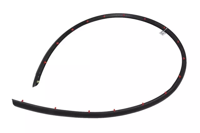 Driver Side Door Lower Auxiliary Weatherstrip - GM (23166516)