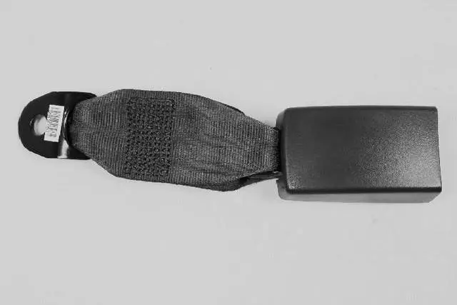 1AN181K7AA - Restraints: Rear Inner Seat Belt, Right for Mopar Image