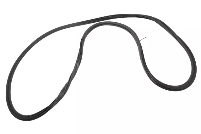 2021-2024 GM - Weather-Strip On Body - GM (84523965)