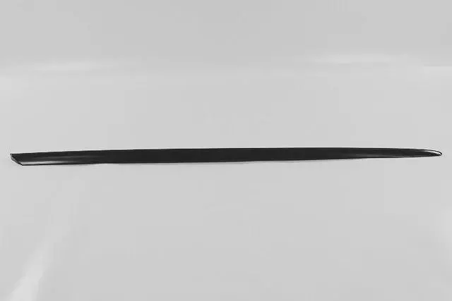 Front Door Molding, Right - Mopar (XG24WS2AB)