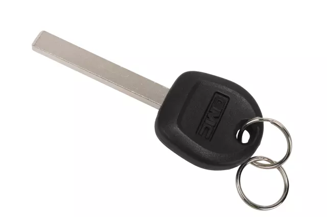 Door Lock and Ignition Key - GM (13520800)