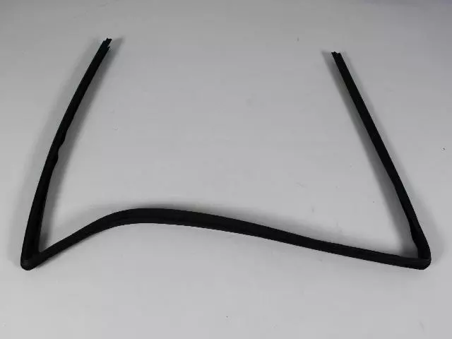 Front Door Glass Run Weatherstrip, Left - Mopar (55399169AG)