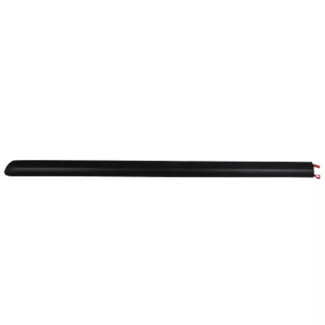 2F2Z1620878AAA - Body: Body Side Molding for Ford: Freestar Image