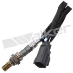 25024482 - : Walker Products 250-24482 Oxygen Sensor 4-W Direct Fit Narrow-Band for Walker Products Inc. - Image