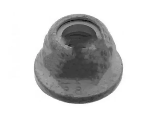 Nut Hex - Ford (W520204-S309)
