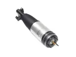 68459084AE - : Air Suspension Spring And Shock Assembly, Right for Mopar Image