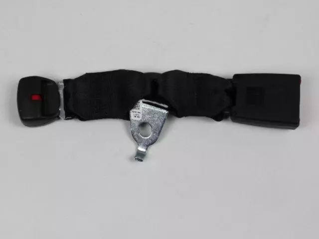 Inner Seat Belt, Center Left - Mopar (ZV911X9AA)