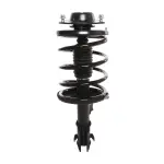 818184 - : PRT 818184 Suspension Strut and Coil Spring Assembly for PRT PERFORMANCE RIDE Image
