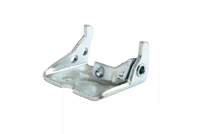 15771319 - Body: Hinge for Hummer: H2 Image