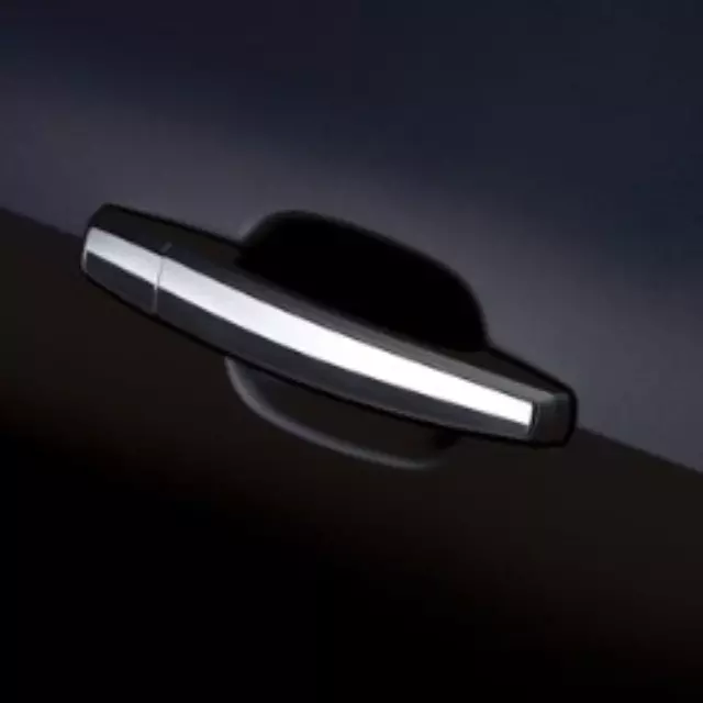 Door Handles - GM (22817271)