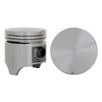 P15156020 - : Engine Piston Set for Enginetech Image