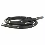 FR3Z16740A - Body: Rear Seal for Ford: Mustang Image