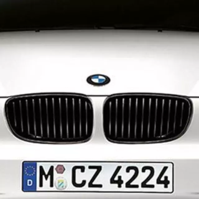 Bmw Performance Black Kidney Grille, Coupe  LEFT - BMW (51-71-2-155-451)