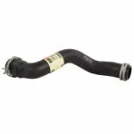 KM5597 - Belts &amp; Cooling: Motorcraftâ„¢ Radiator Coolant Hose for Ford: Focus Image