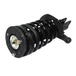 810118 - : Suspension Strut and Coil Spring Assembly for GSP Image