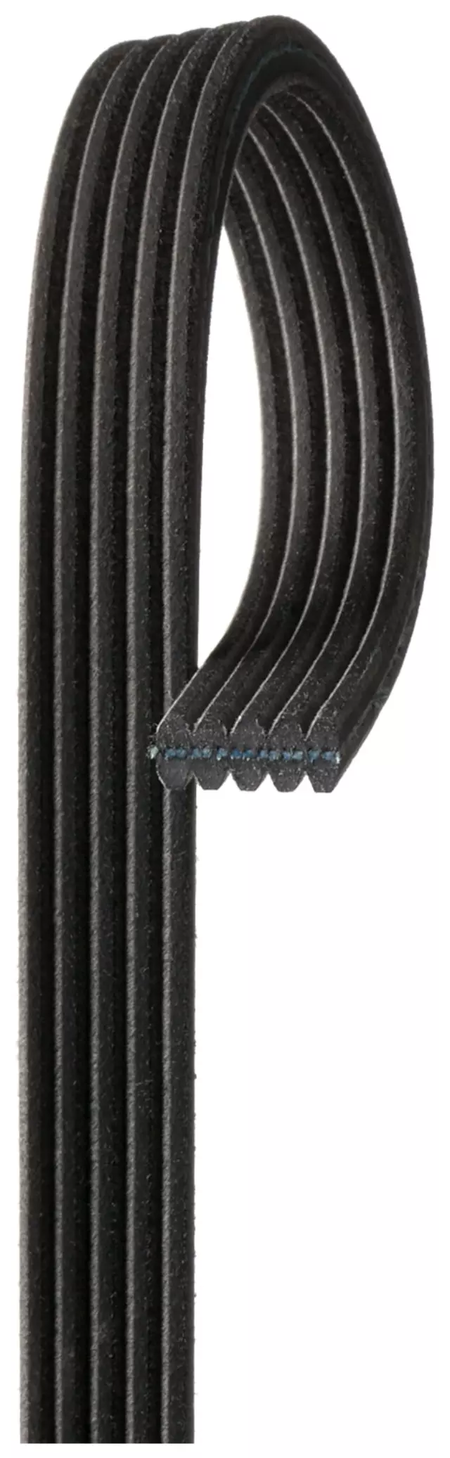 5DK610 - : Dual Sided V-Ribbed Serpentine Belt for ACDelco Image