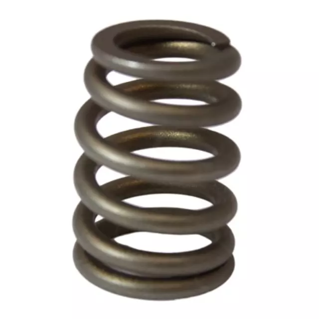 Valve Springs - Ford (YF1Z-6513-CA)