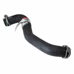 KM4972 - Belts &amp; Cooling: Motorcraftâ„¢ Radiator Coolant Hose for Ford: Focus Image