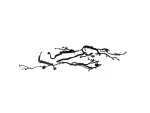 68548850AB - : Wiring for Mopar Image