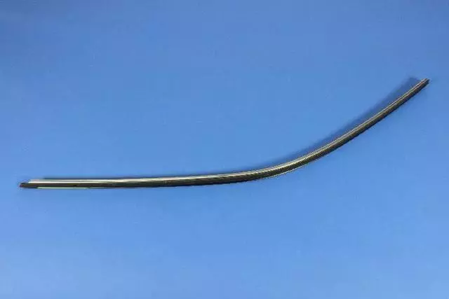4575902AH - Doors, Door Mirrors and Related Parts: Seal, Right for Mopar Image
