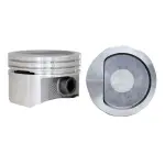P50454030 - : Engine Piston Set for Enginetech Image