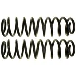 81077 - : Coil Spring Set for Moog Image