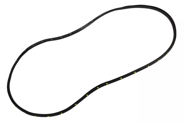84600670 - : Driver Side Door Seal for GM Image