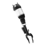 28117001 - : Unity Automotive Air Suspension Strut for Unity Automotive Image