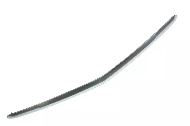 Galvano Silver Hood Front Molding - GM (84731889)