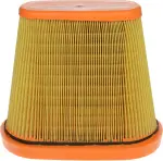 CA12062 - : FRAM, CA12062, Air Filter for FRAM Image