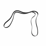 15768485 - : F (S)Belt for GM Image