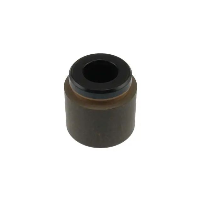 7871 - : Disc Brake Caliper Piston for Carlson Image