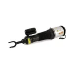 AS2580 - : Arnott Air Suspension Strut for Arnott Image