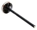 EM4389 - : Engine Exhaust Valve for Enginetech Image