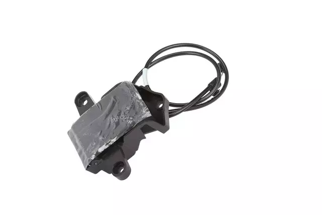 23460119 - Body: Release Handle for Buick: Enclave Image