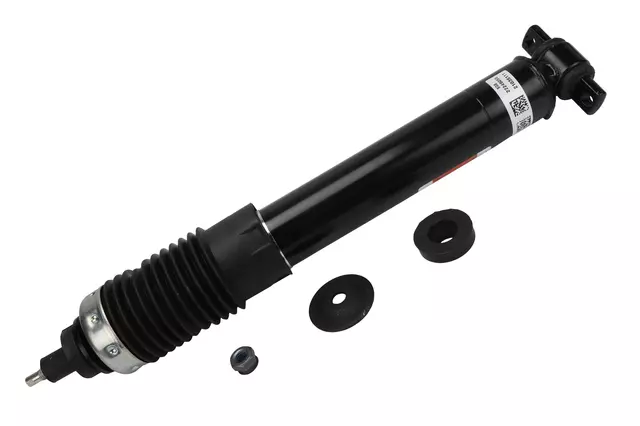 Front Shock Absorber Kit - GM (19302772)