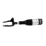 AS3251 - : Arnott Air Suspension Strut for Arnott Image