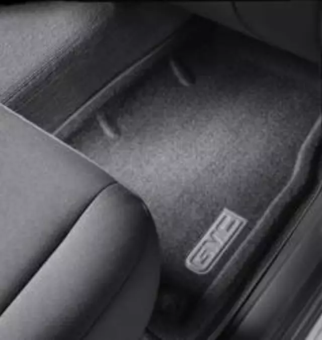 Floor Mats, Carpet, Front - GM (17800404)