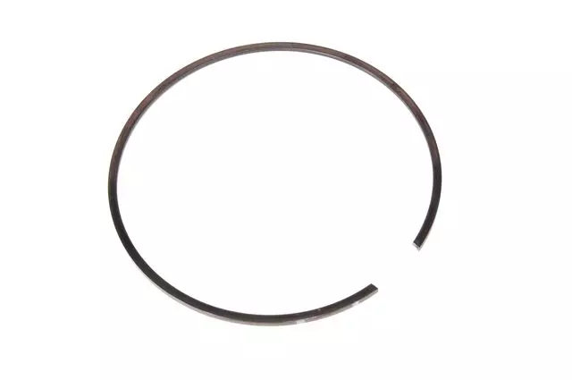 24292704 - : F (S)Ring for GM Image