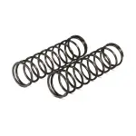 66793 - : Engine Valve Check Springs for Proform Image