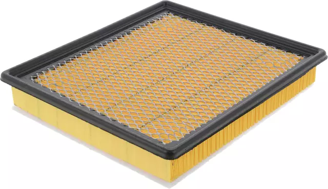 Air Filter - GM (22989313)