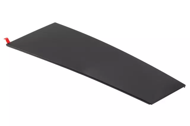 Body C-Pillar Molding - GM (15839679)