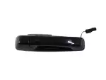 1UJ86DX8AJ - Doors, Door Mirrors and Related Parts: Exterior Door Handle, Right for Ram: 1500, 1500 Classic, 2500, 3500 Image