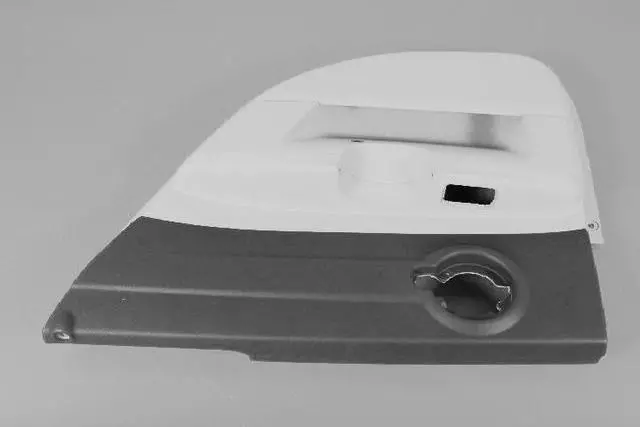 Rear Door Trim Panel, Right - Mopar (1AF521DBAB)